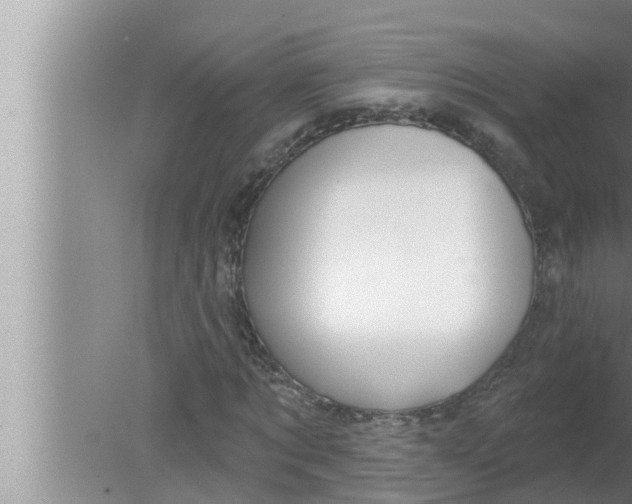 X0000080150869200612302125