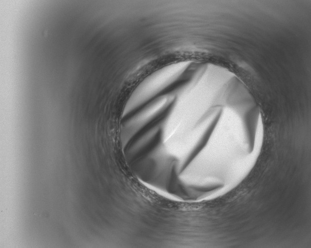 X0000080150870200612302125