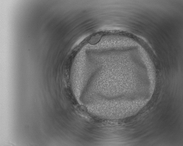 X0000080150871200612302125