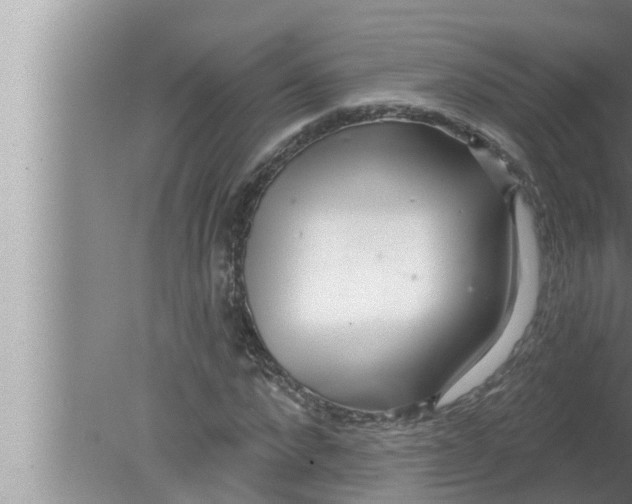 X0000080150872200612302125