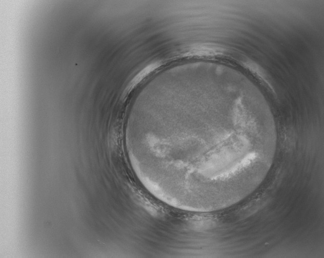 X0000080150874200612302125