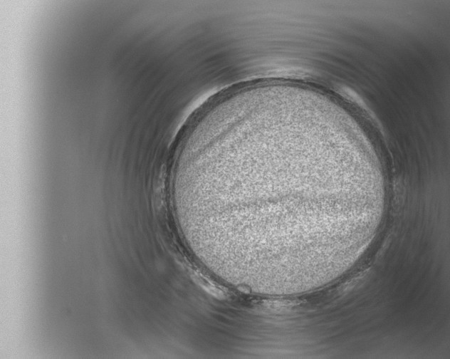 X0000080150875200612302125