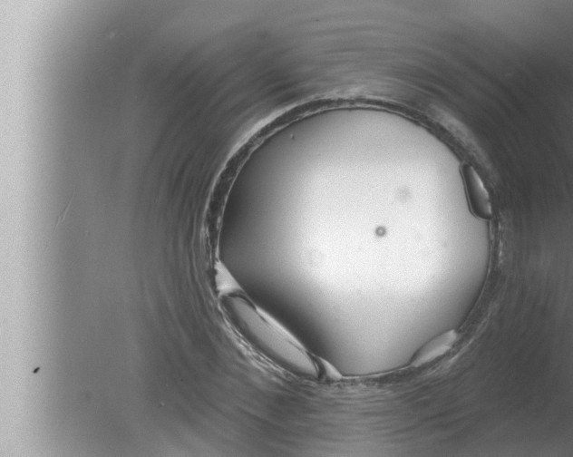 X0000080150876200612302125