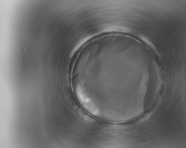 X0000080150877200612302125