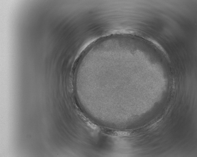 X0000080150878200612302125