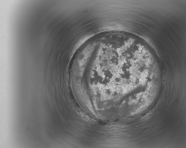 X0000080150879200612302125