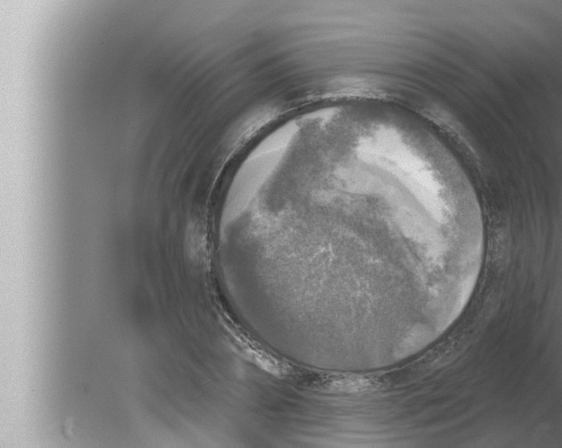 X0000080150882200612302125