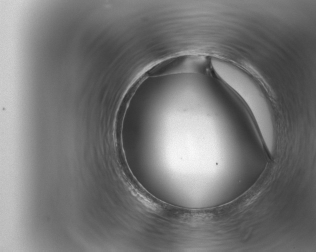 X0000080150884200612302125