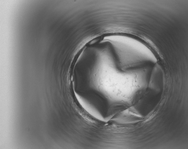 X0000080150885200612302125