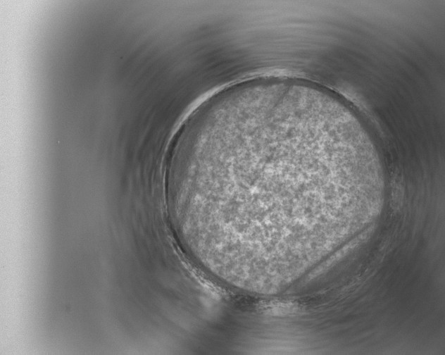 X0000080150886200612302125