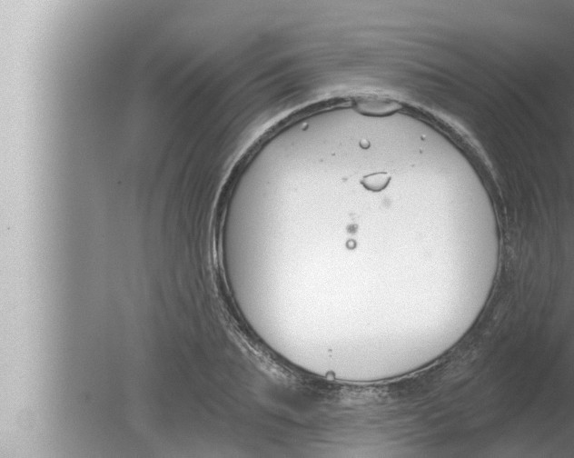 X0000080150887200612302125