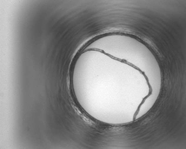 X0000080150888200612302125