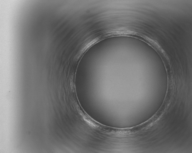 X0000080150889200612302125