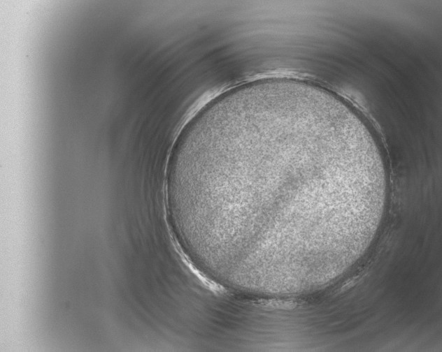 X0000080150890200612302125