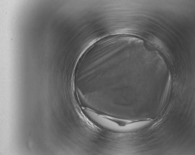 X0000080150892200612302125