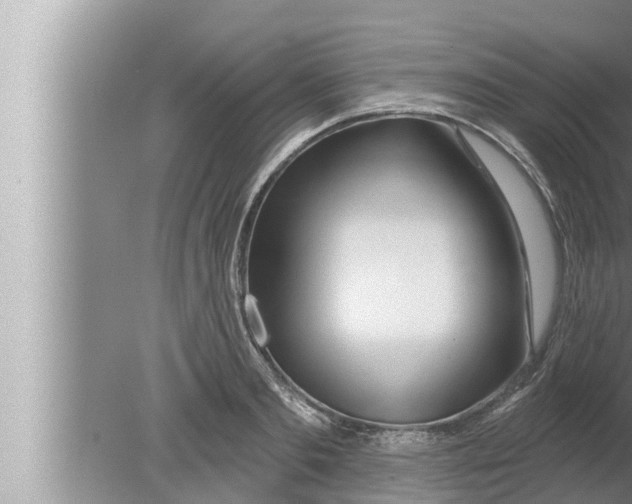 X0000080150893200612302125