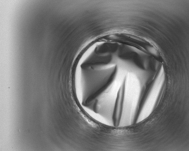 X0000080150894200612302125