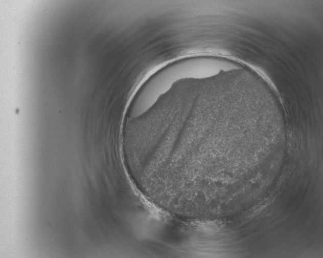 X0000080150895200612302125