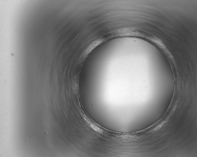 X0000080150897200612302124