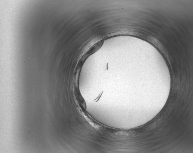 X0000080150898200612302124