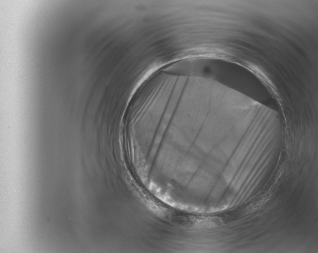 X0000080150899200612302124