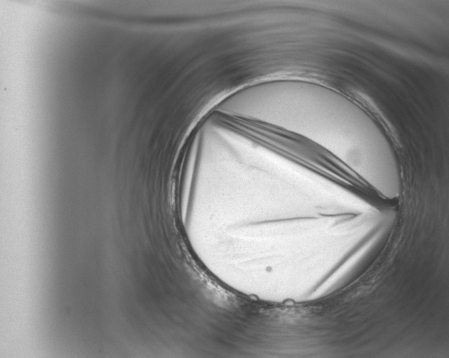 X0000080150900200612302124