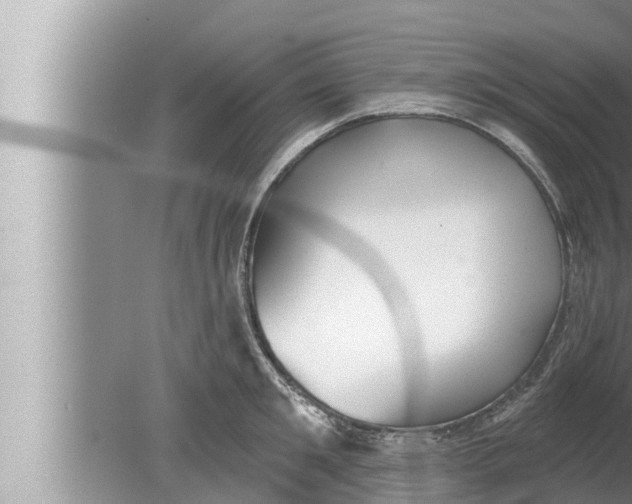 X0000080150901200612302124