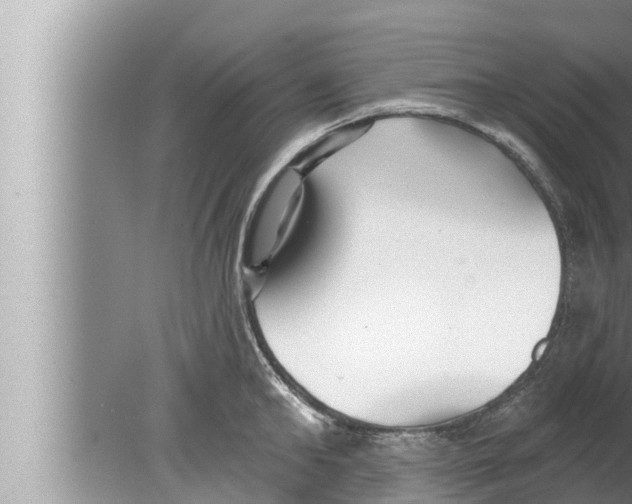 X0000080150902200612302124