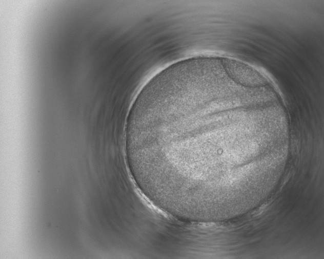 X0000080150903200612302124