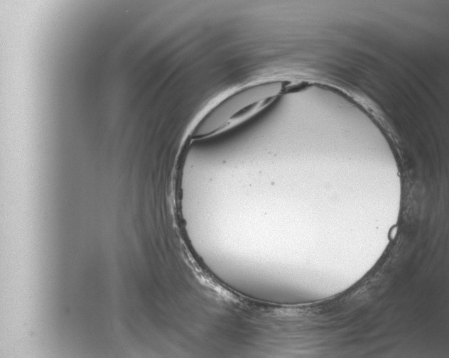 X0000080150904200612302124