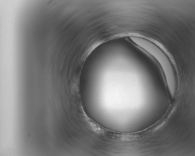 X0000080150905200612302124