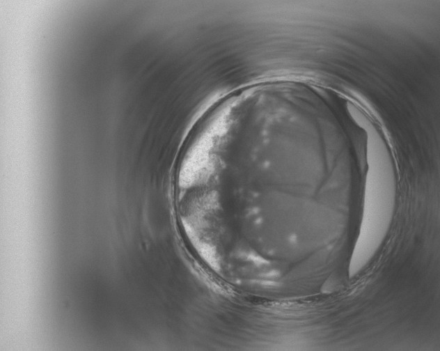 X0000080150907200612302124