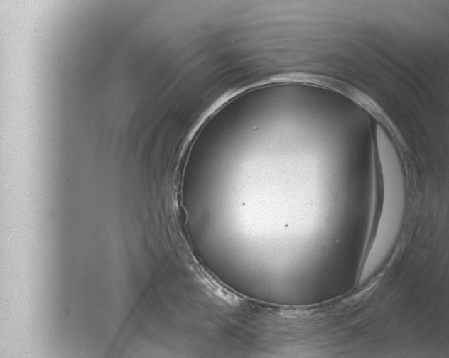 X0000080150908200612302124