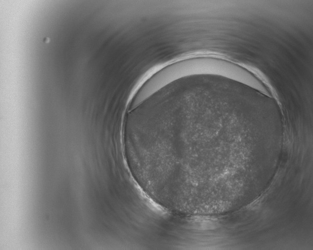 X0000080150910200612302124