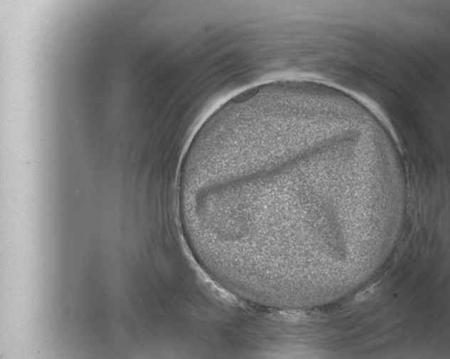 X0000080150911200612302124