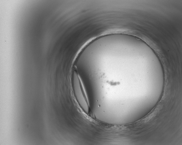 X0000080150912200612302124