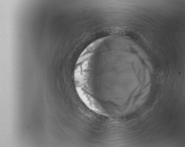 X0000080150913200612302123