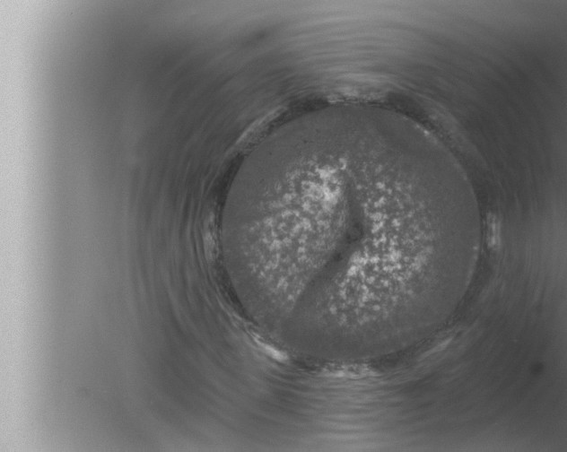 X0000080150915200612302123