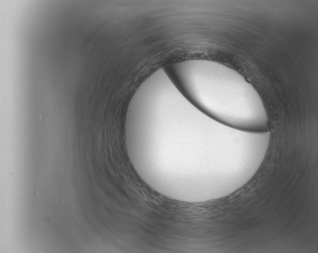 X0000080150916200612302123