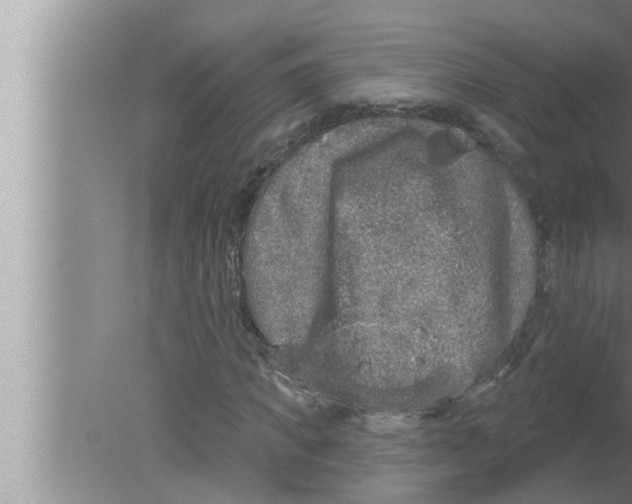 X0000080150917200612302123