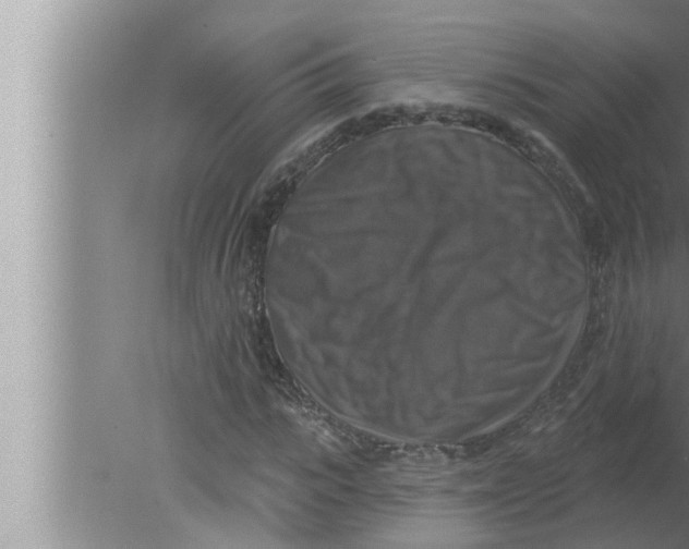 X0000080150919200612302124