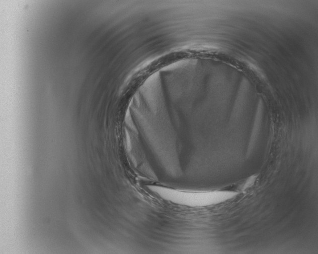 X0000080150920200612302124