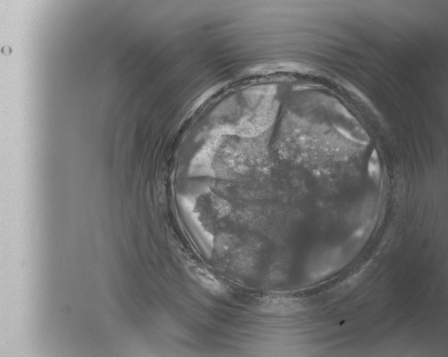 X0000080150921200612302124