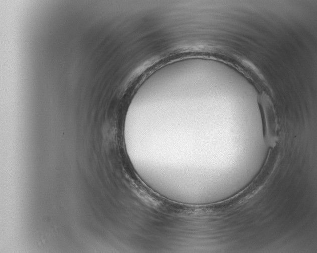 X0000080150922200612302124