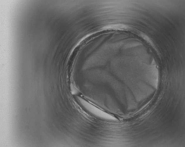 X0000080150923200612302124