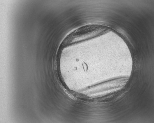 X0000080150924200612302124