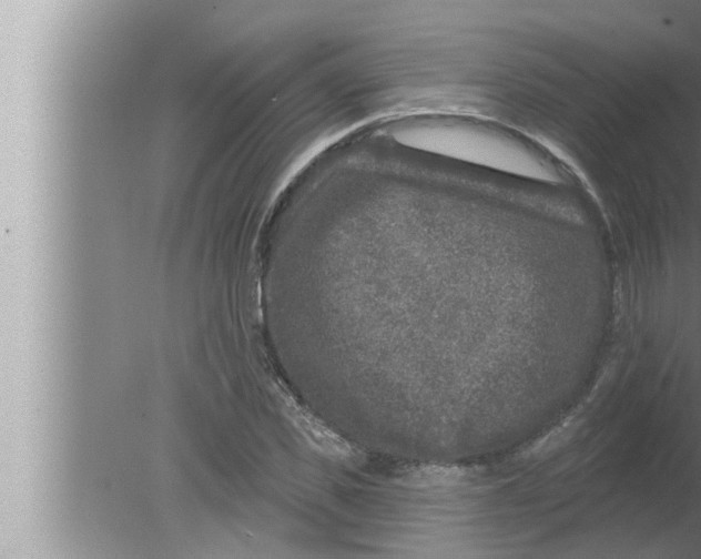 X0000080150925200612302124