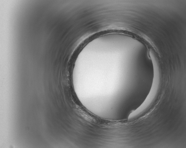 X0000080150926200612302124