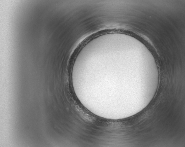 X0000080150927200612302124