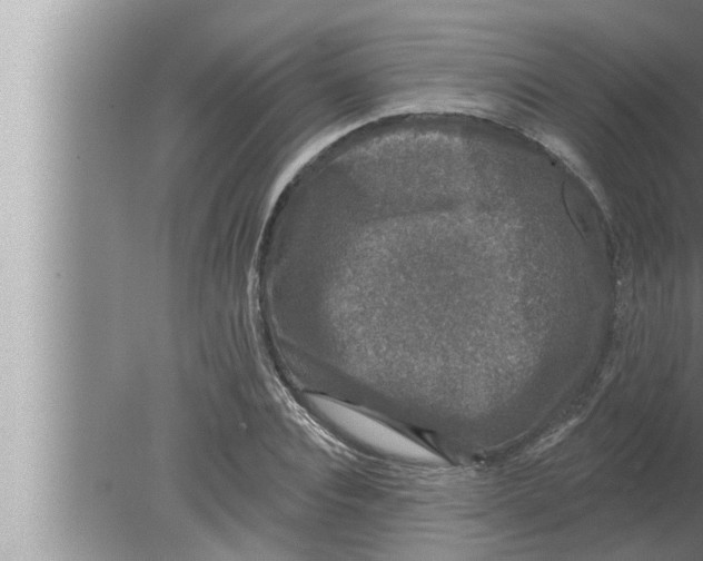 X0000080150928200612302124